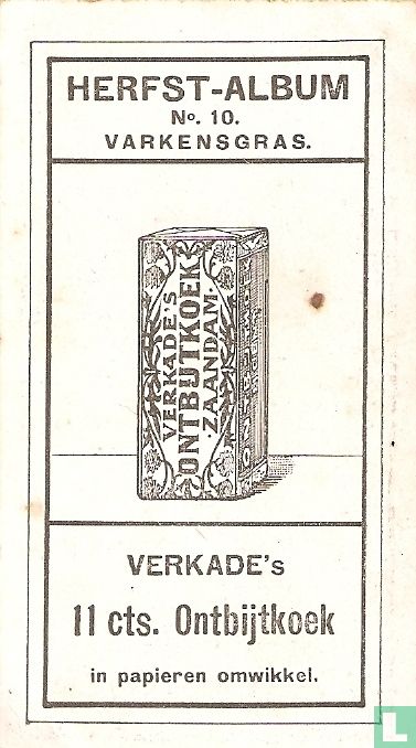 Varkensgras