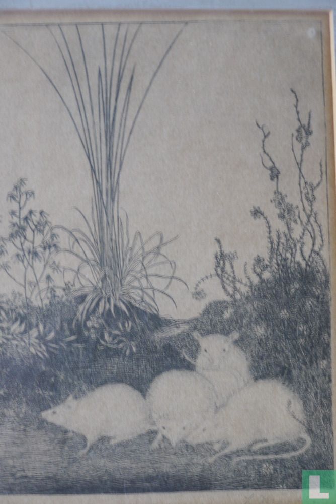 4 muizen