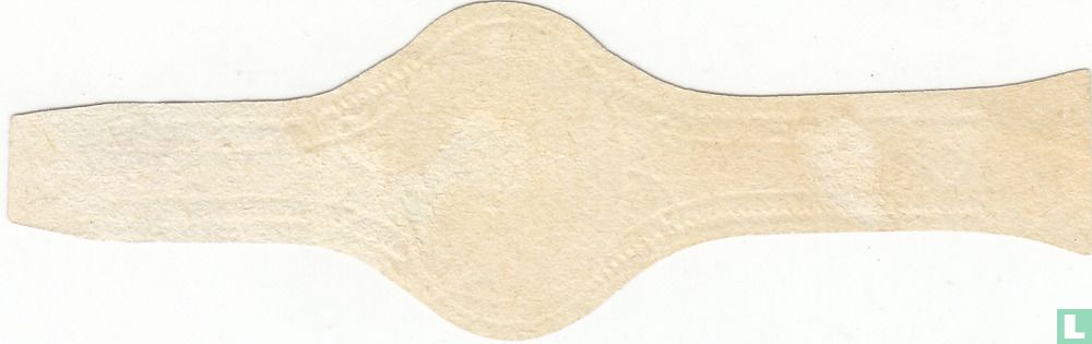Bachschmidt - Bachschmidt