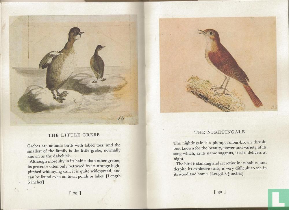 Thomas Bewick's birds