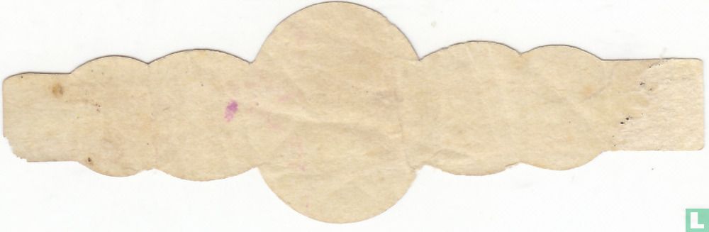 Arena - Antonio - Antonio