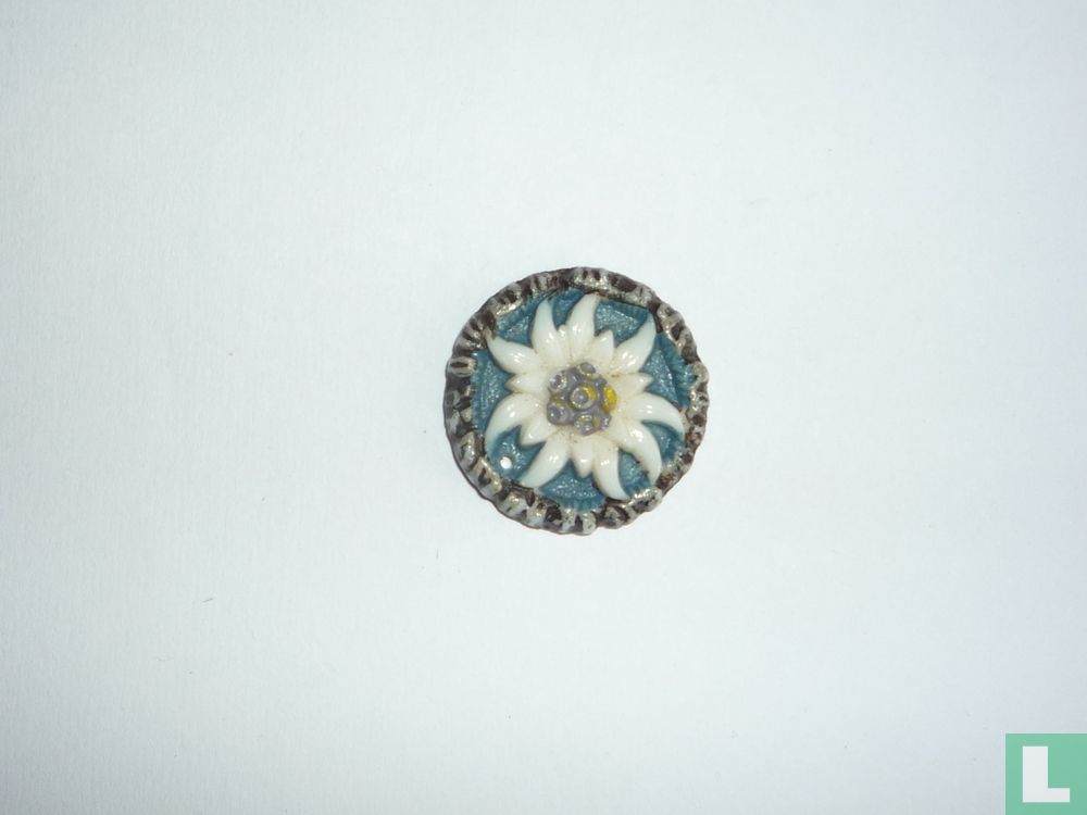 Edelweiss