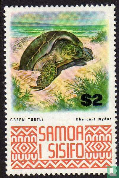 Tortue