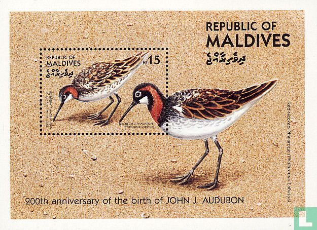 Oiseaux  