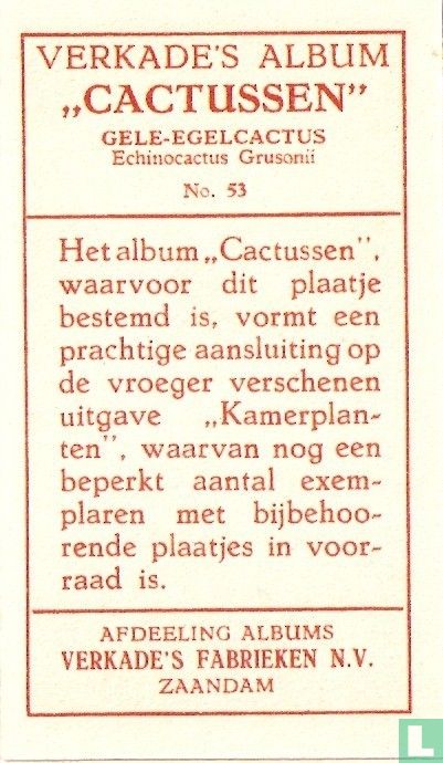 Gele-Egelcactus