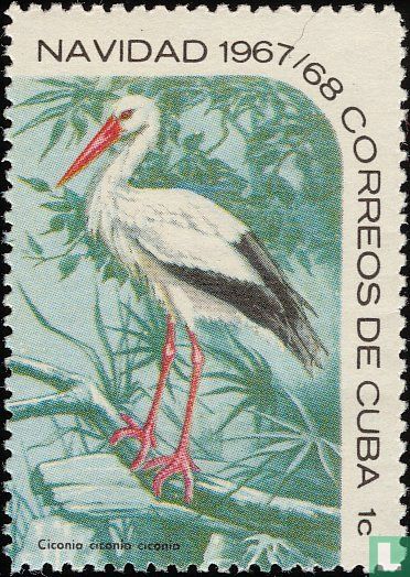 Oiseaux de Noël