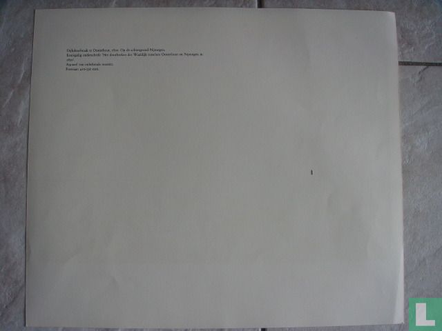 Dijkdoorbraak te Oosterhout 