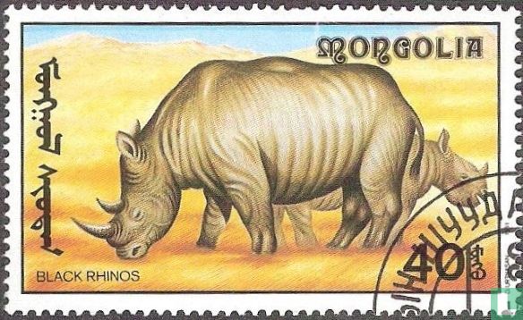 African wild animals