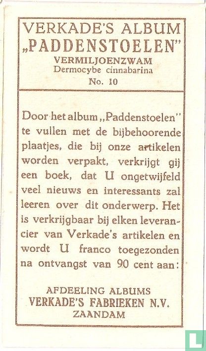 Vermiljoenzwam