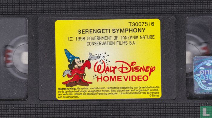 Serengeti Symphony