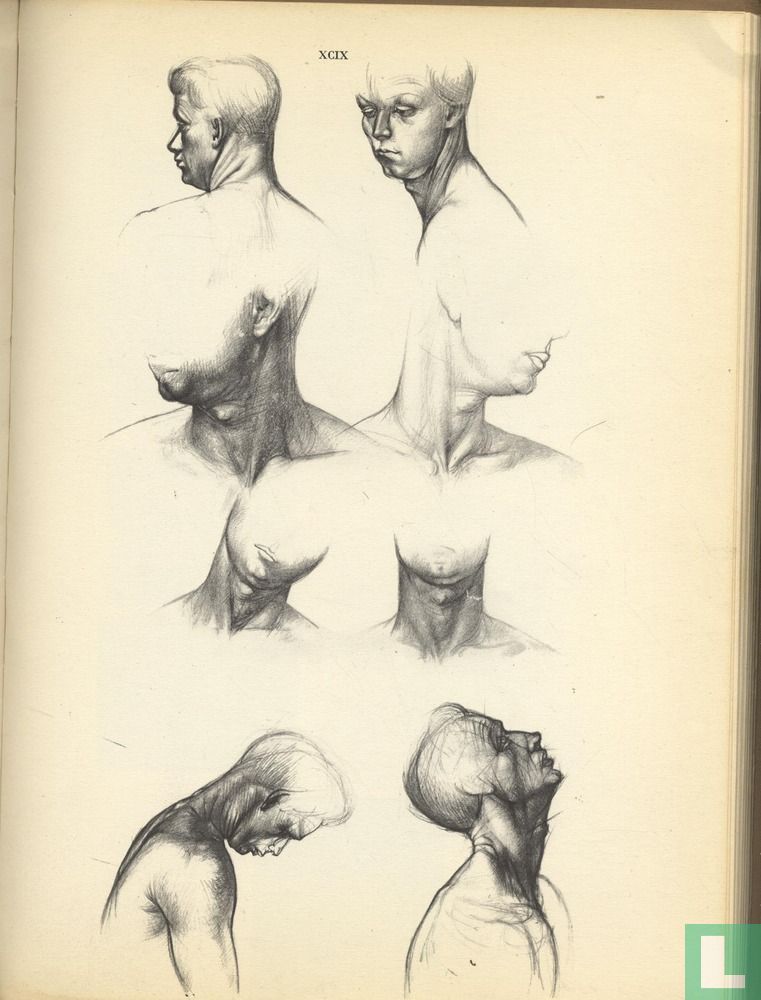 Anatomy for the Artist (1958) - Barcsay, Jeno - LastDodo