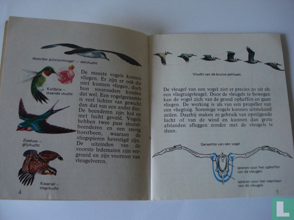 Vogels