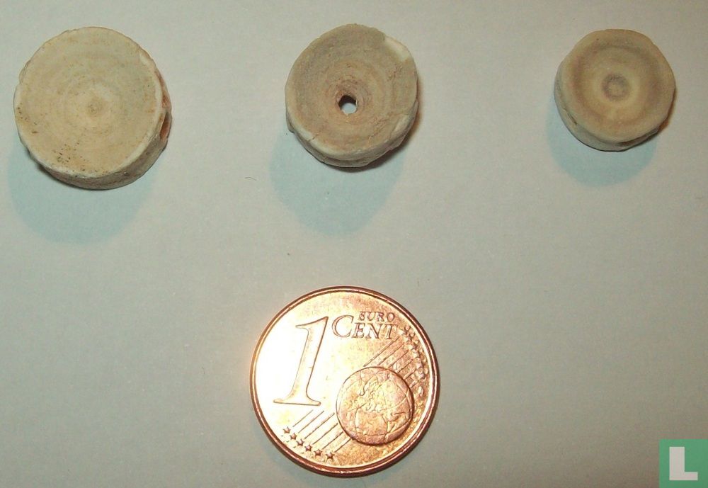 Onchosaurus vertebra