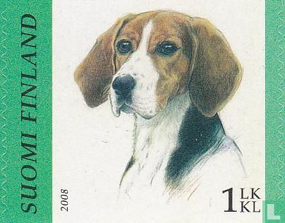 Hunde