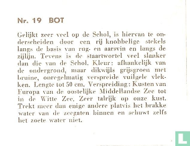 Bot