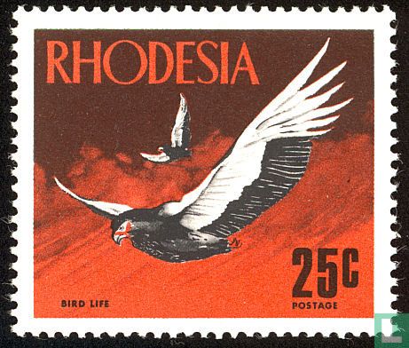 Oiseaux