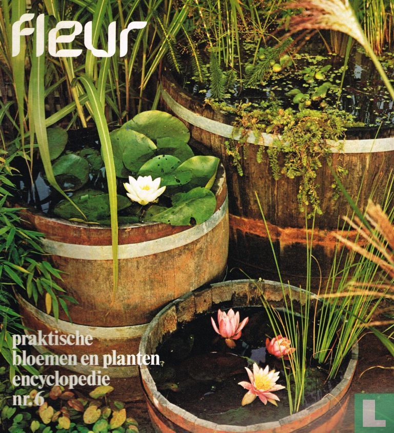 Fleur 6