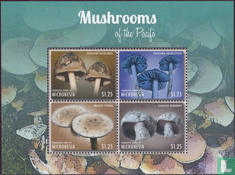 Champignons   