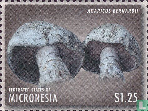 Champignons   