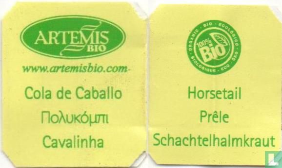 Cola de Caballo