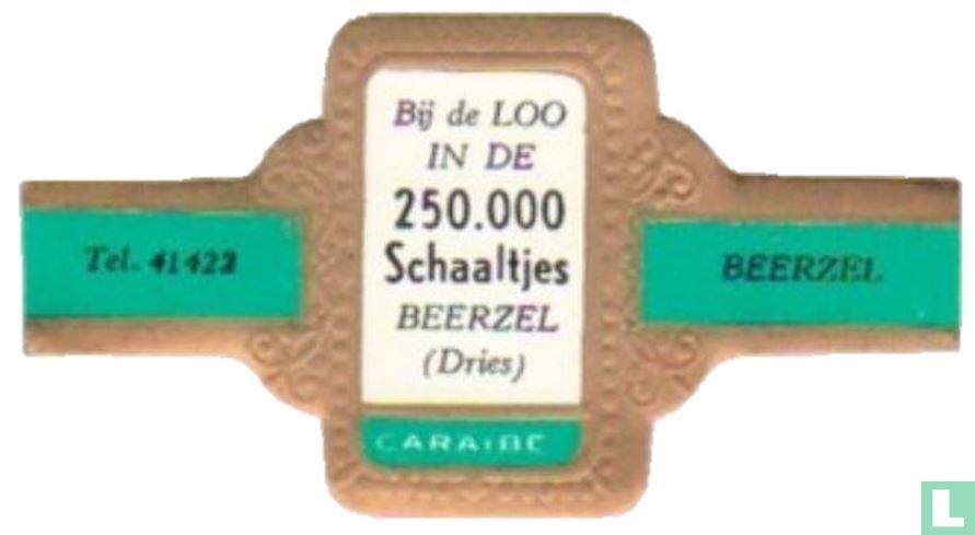 Bij de Loo in de 250.000 Schaaltjes Beerzel (Dries) - Tel. 41422 - Beerzel 
