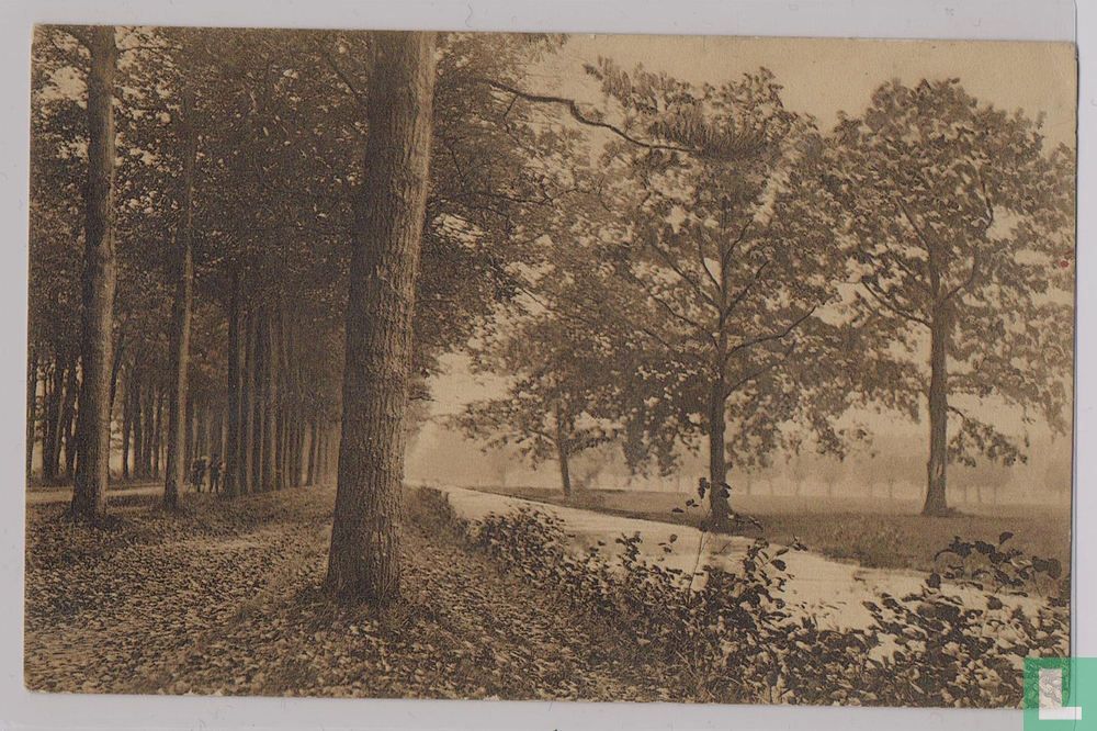 Landschap