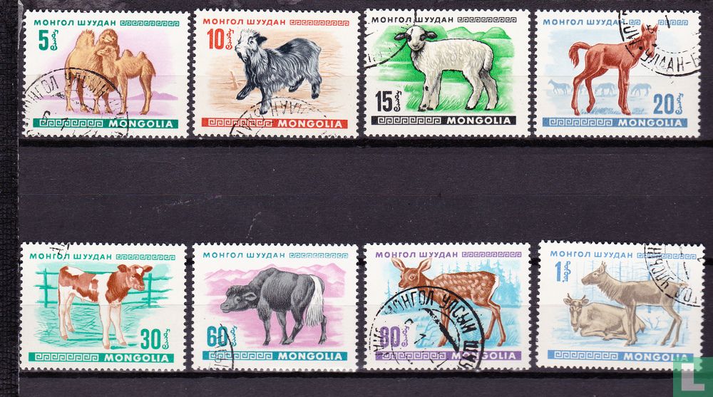 Jeunes animaux