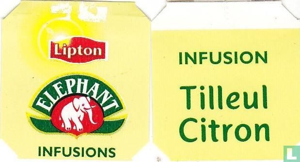 Tilleul-Citron