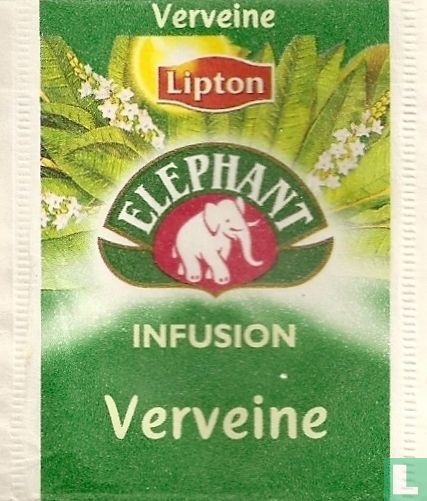 Verveine
