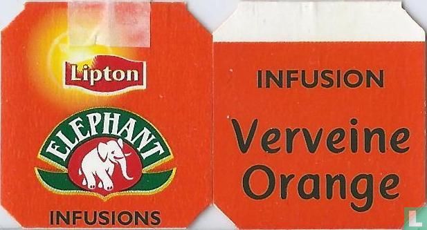 Verveine Orange