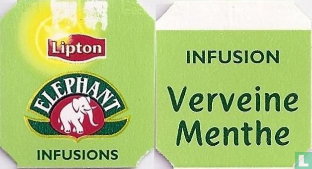 Verveine Menthe
