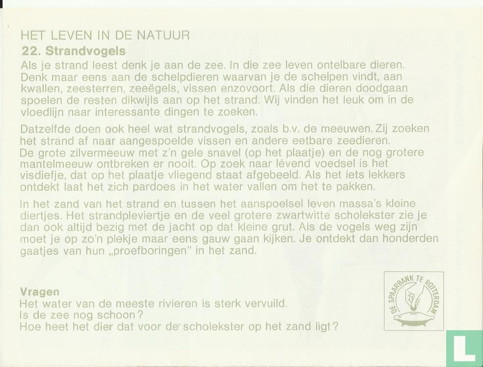 Strandvogels