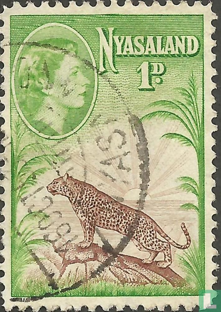 Leopard
