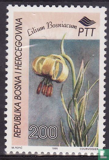 Faune et flore