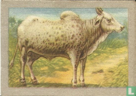 Bultrund