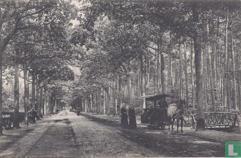 Ponytram Mastbosch