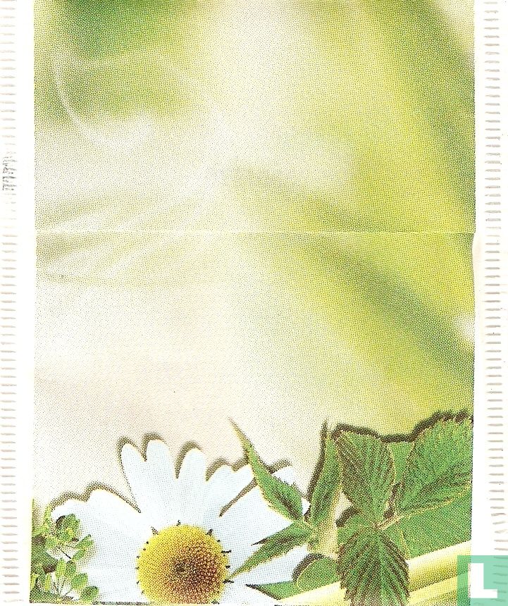 Kräutertee