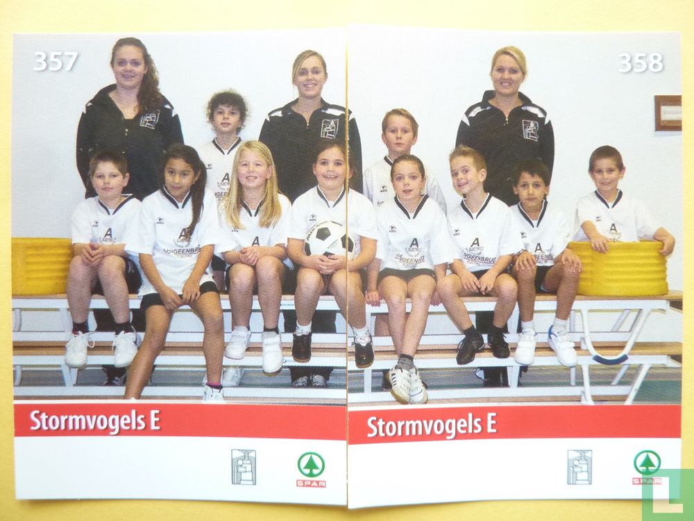 Teamfoto Stormvogels E (links)