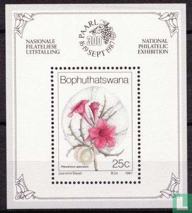 Fleurs sauvages