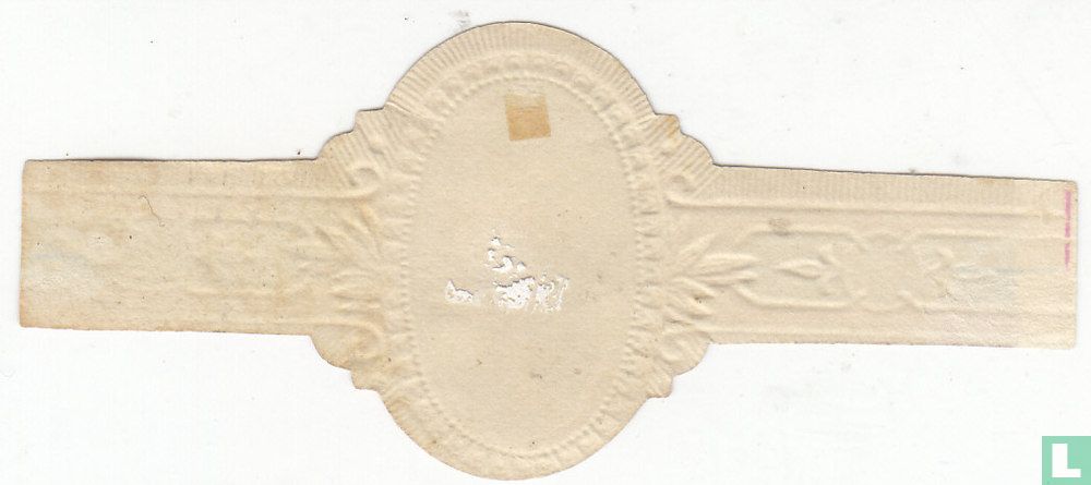 Brahmin 