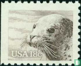 Harbour seal