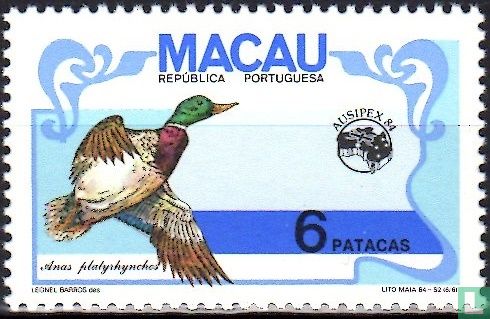 Oiseaux