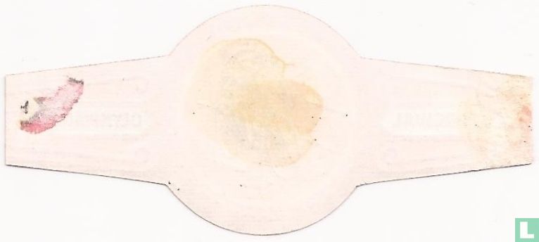 [kunstschaatsen]