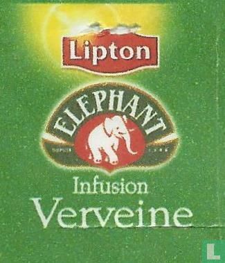 Verveine