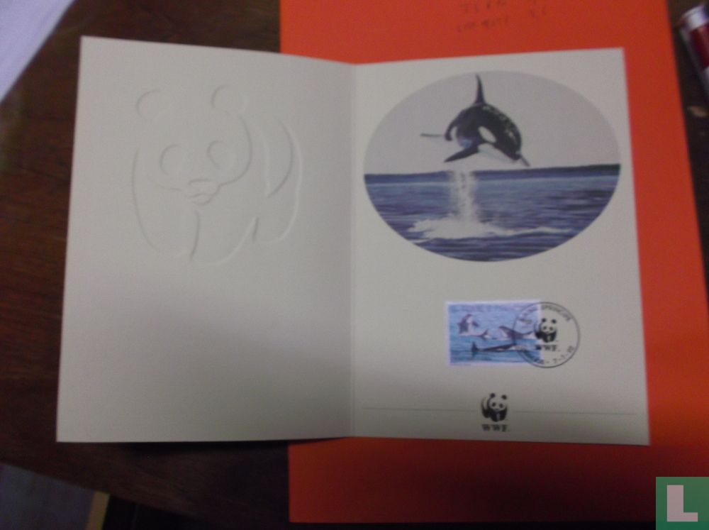 Orca