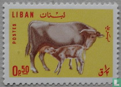 Animaux