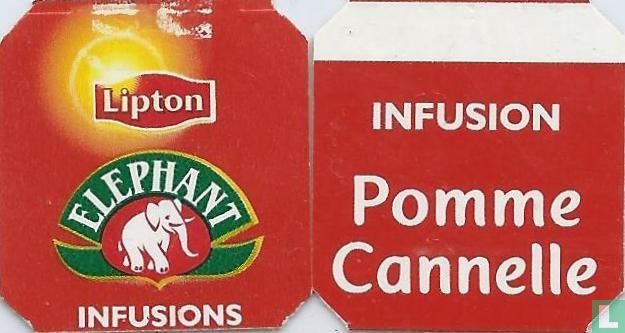 Pomme Cannelle