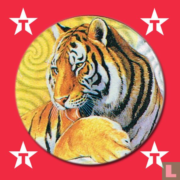Tijger