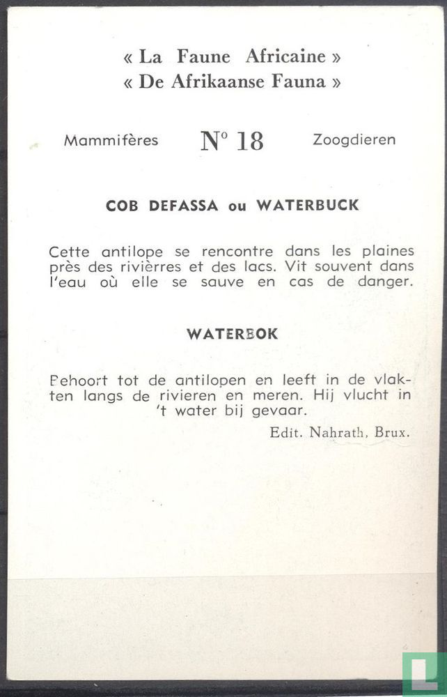 Waterbok