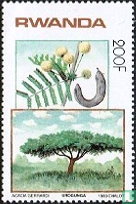Einheimische Baüme